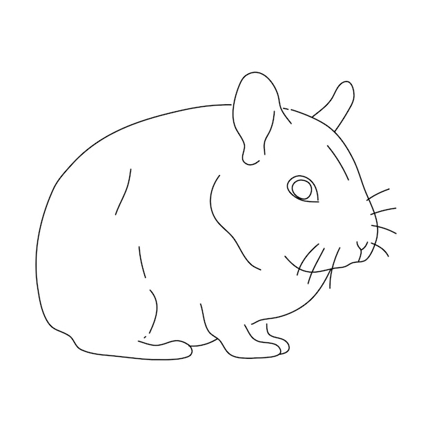 garabato, de, chinchilla, mano, dibujado, vector, ilustración