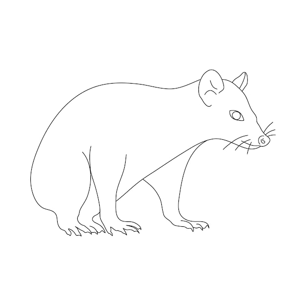 garabato, de, zarigüeya, mano, dibujado, vector, ilustración