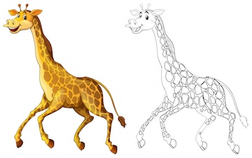 Escuela De Dibujo Para Animales: Aprender A Dibujar Paso Paso De Forma Fácil Y Divertida Escuela De Dibujo Para Animales: Aprender A Dibujar Paso Paso De Forma Fácil Y Divertida