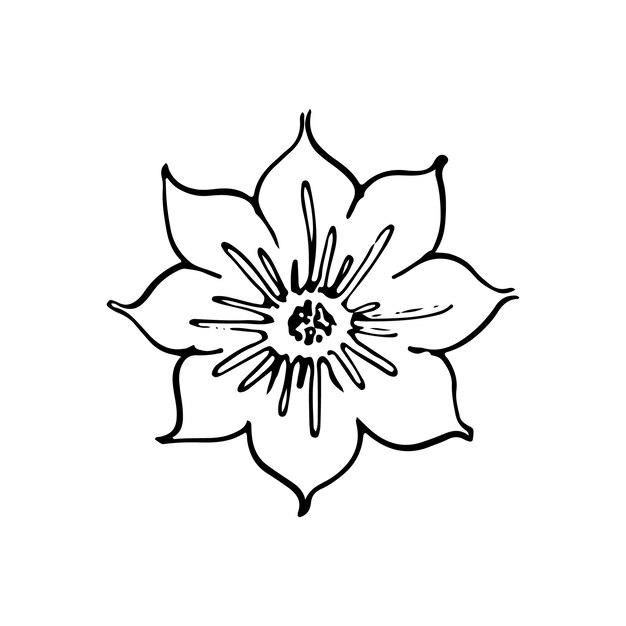 Garabatos florales monocromáticos vectoriales Sketch en blanco y negro para colorear libro textil papel de regalo, etc.