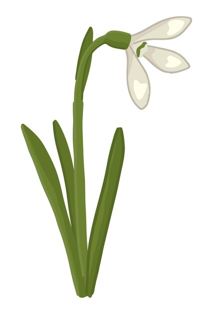 Garabatos de nieve Clipart de flores de primavera Ilustración vectorial de dibujos animados aislada en fondo blanco
