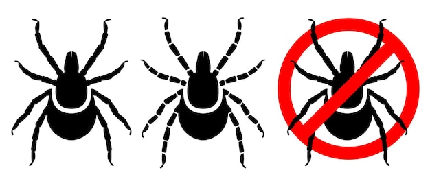 Garrapatas, conjunto, garrapata de venado, vector, clipart, aislado, blanco, plano de fondo