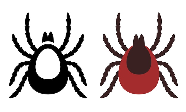 Garrapatas, conjunto, garrapata de venado, vector, clipart, aislado, blanco, plano de fondo