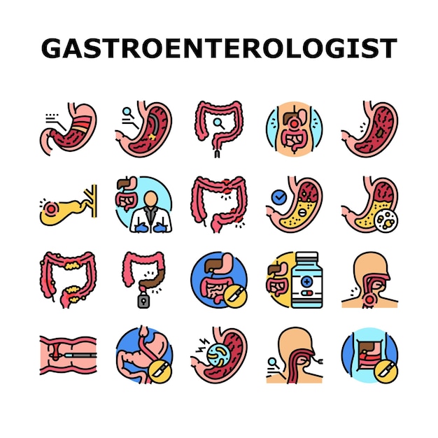 gastroenterólogo, doctor, estómago, iconos, conjunto, vector, salud, gastroenterología, intestino, investigación, médico, enfermedad intestinal, microbiota, gastroenterólogo, doctor, estómago, color, línea, ilustraciones