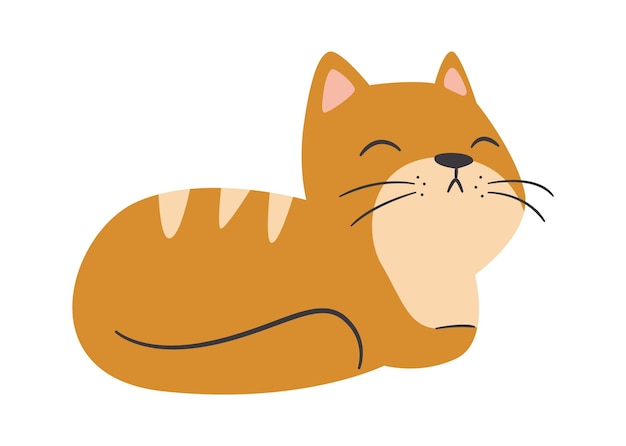 Gato Acostado Mascota