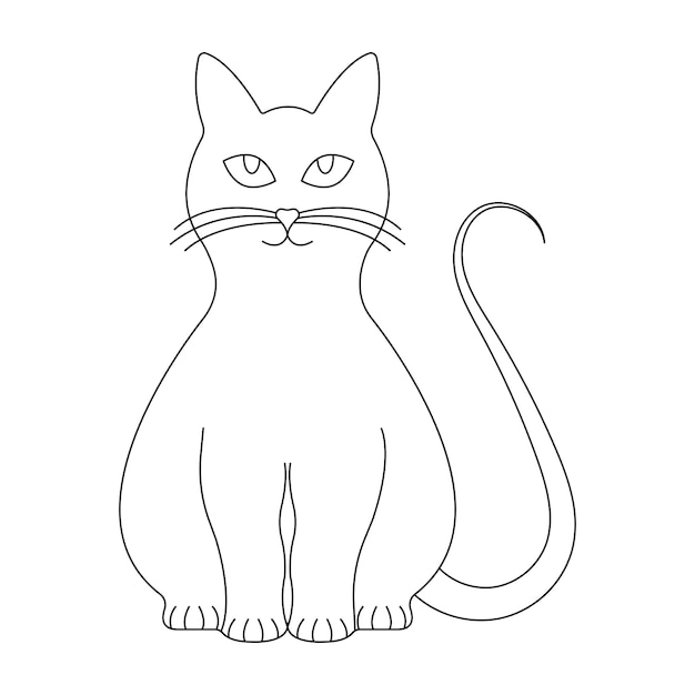 Gato aislado sobre un fondo blanco