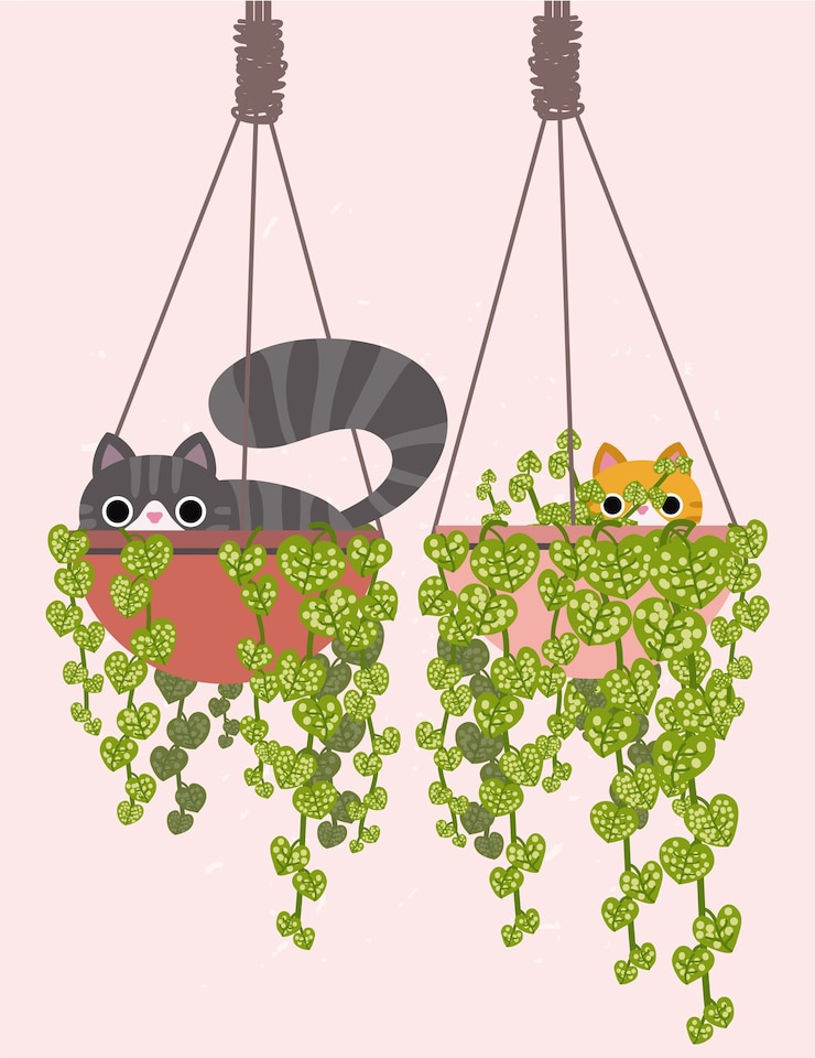 Vector gato aislado sobre fondo crema. lindo gato.