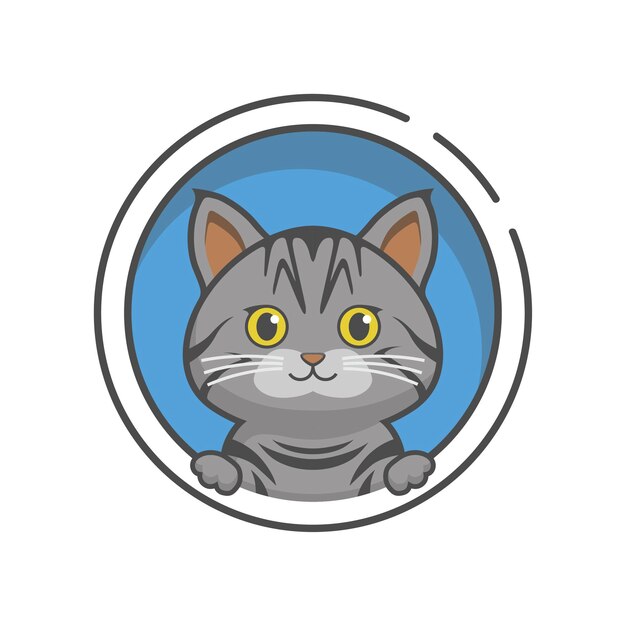 Gato americano