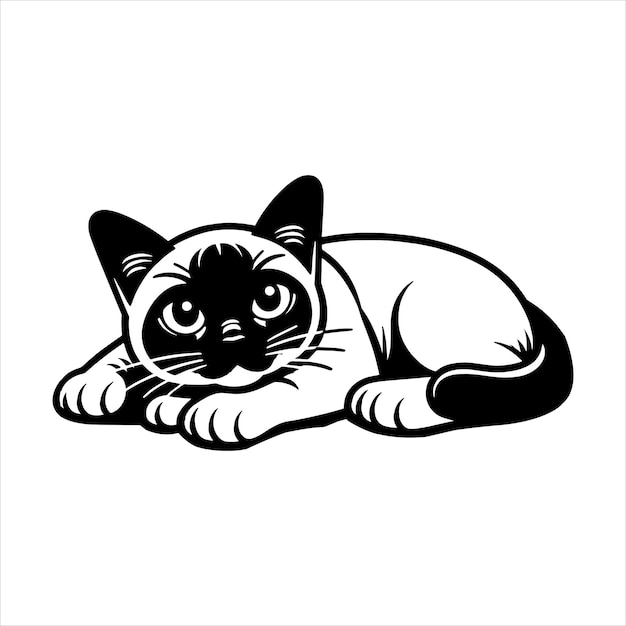 El gato birmano Svg