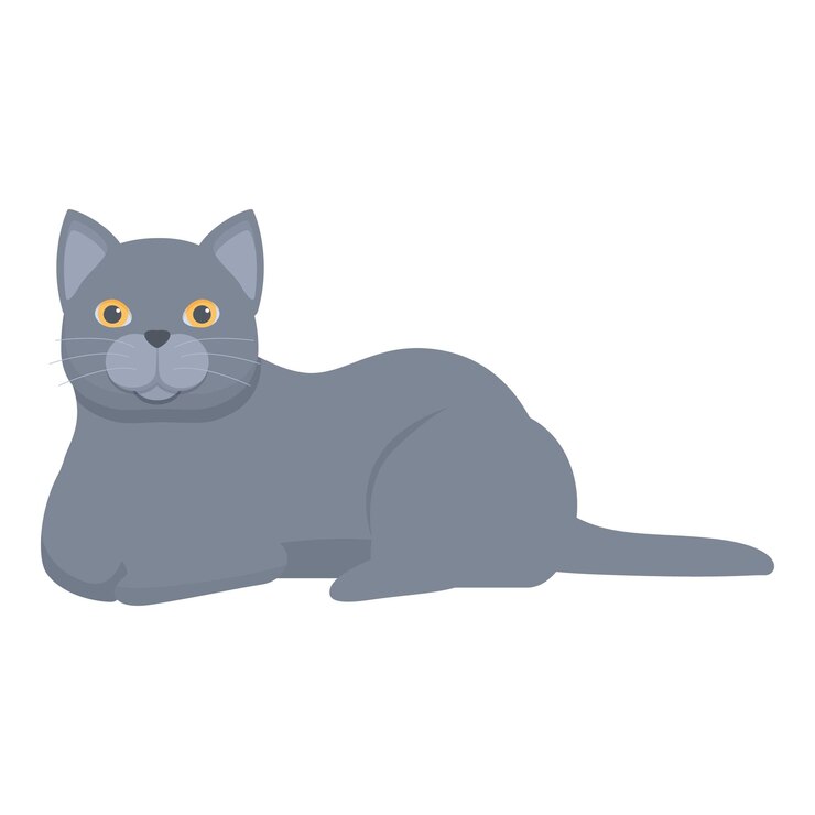 Gato británico de pelo corto gris acostado relajándose