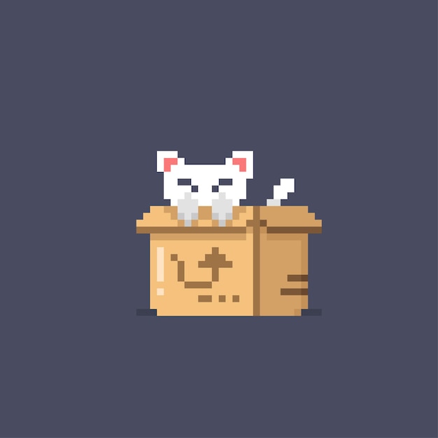 gato en la caja de cartón al estilo píxel