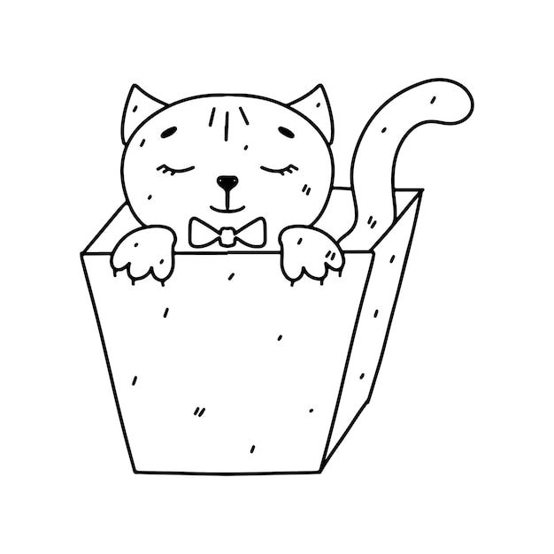 Vector gato en una caja estilo doodle dibujado a mano ilustración vectorial aislada en blanco página para colorear