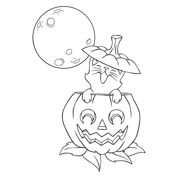 Gato en una calabaza bajo la luna