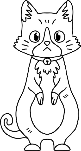Un gato con un collar está sentado en el suelo