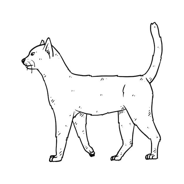Vector gato dibujado a mano en boceto estilo garabato