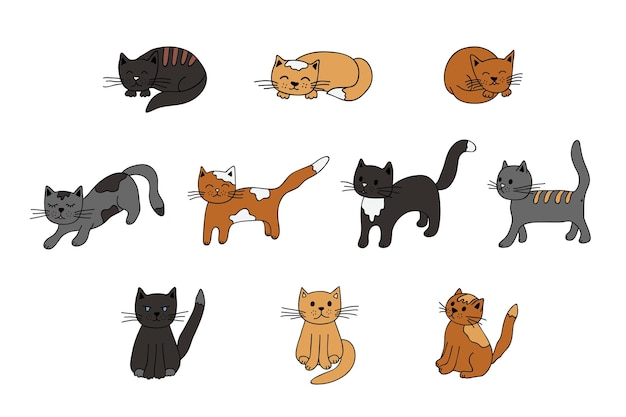 Gato dibujado a mano imágenes prediseñadas Linda mascota garabato conjunto