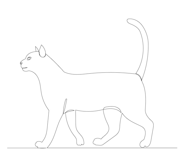 Gato, dibujo de una línea continua, boceto, vector