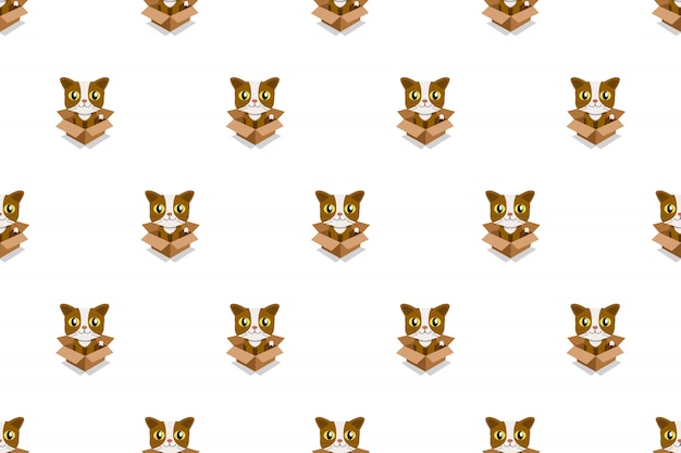 Gato de dibujos animados vector en caja de cartón de patrones sin fisuras