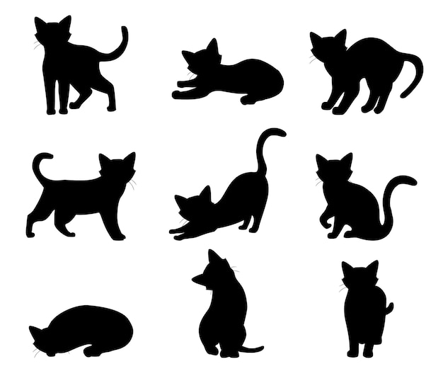 Gato en diferentes posturas silueta negra aislada sobre un fondo blanco