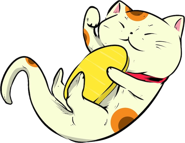 Gato duerme con dinero