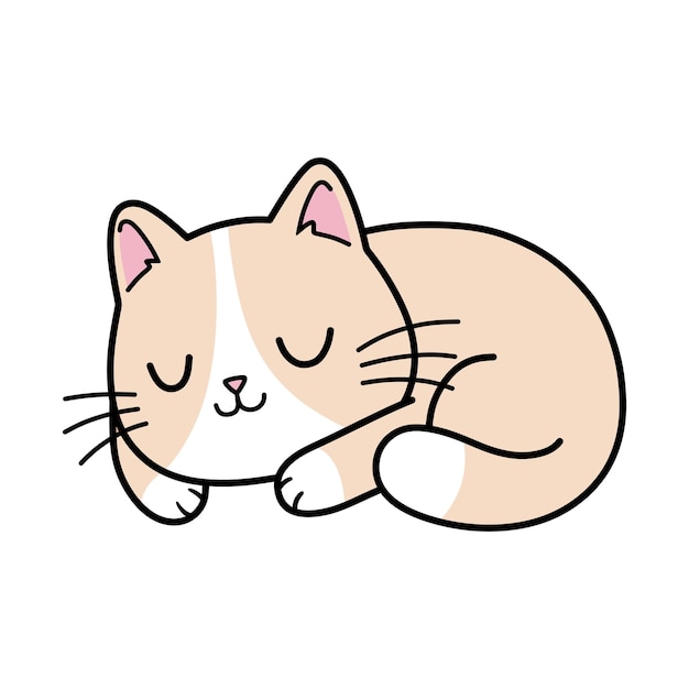 El gato duerme tan profundamente que no se le puede molestar.