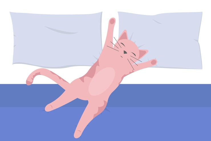 Vector gato durmiendo en la cama. un bonito animal rosa duerme en casa sobre almohadas. ilustración vectorial plana