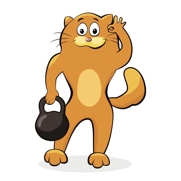 Gato entrena fitness con pesas rusas. Vector fit kitty en gimnasio y entrenamiento levantando peso