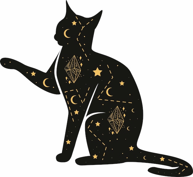 El gato es místico.