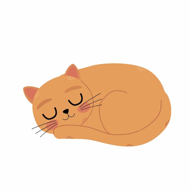 El gato está durmiendo Ilustración vectorial de un personaje en un estilo de dibujos animados Dibujo a mano
