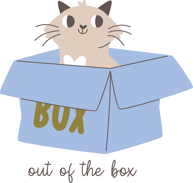 El gato fuera de la caja