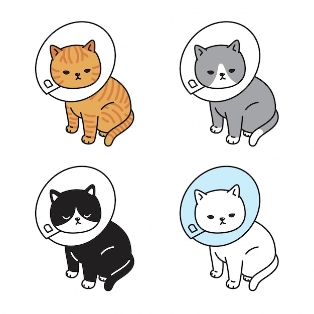 Gato gatito vector collar dibujos animados