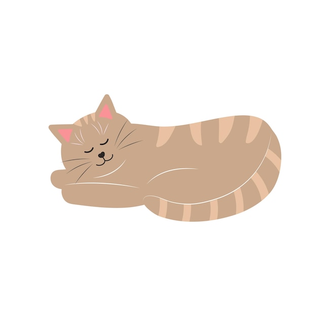 Gato gracioso lindo animal de compañía gordo personaje de dibujos animados ilustración vectorial plana