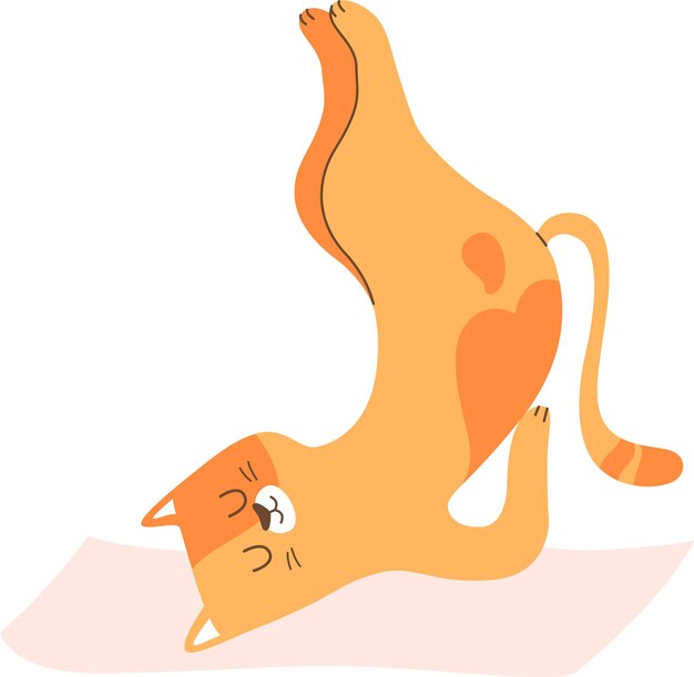 Un gato haciendo yoga