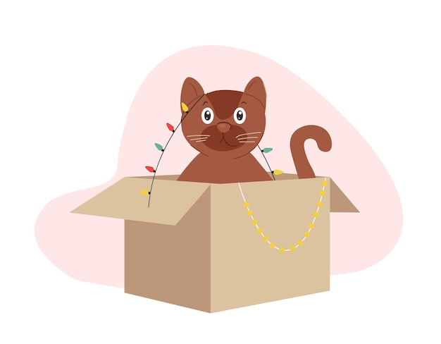 Vector gato de invierno en caja