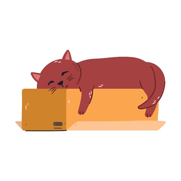 Gato de jengibre cansado para dormir en una caja. ilustración plana.