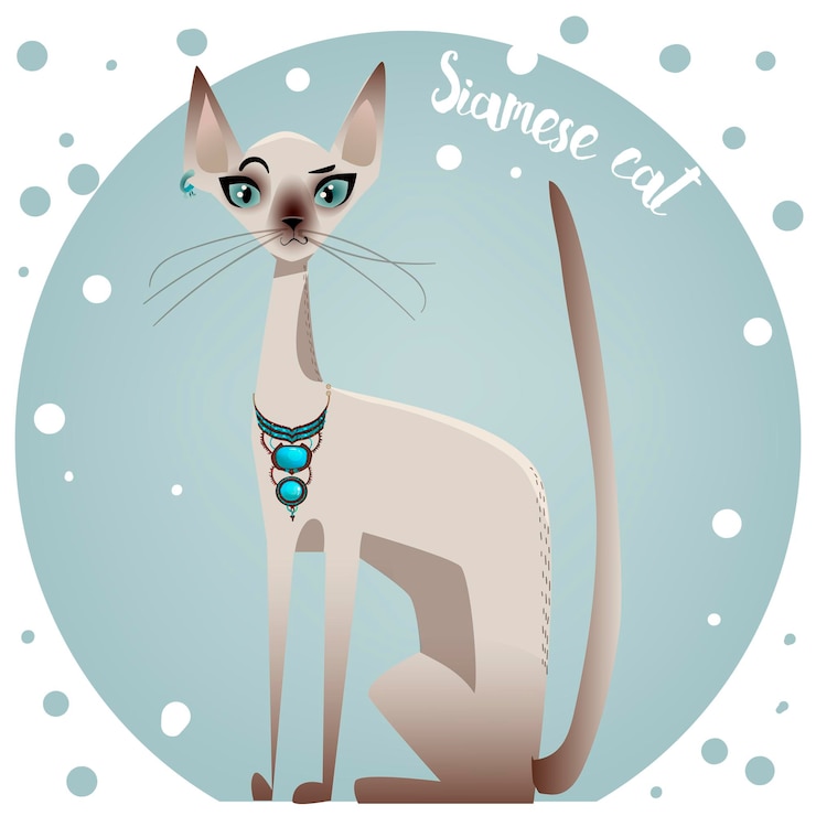 Vector gato lindo colorido pedigrí siamés - ilustración vectorial