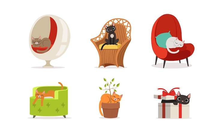 Vector gato mascota doméstico sentado en el sillón y en el conjunto vectorial de macetas