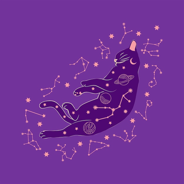 Gato místico en estilo boho rodeado de estrellas signos del zodiaco bolas impresiones de patas colección de siluetas esoterismo y misticismo ocultismo ilustraciones de vector plano de dibujos animados