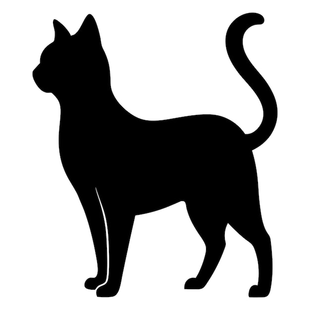 un gato negro con una cola negra y un fondo blanco