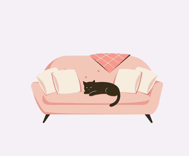 Gato negro durmiendo en un acogedor sofá rosa con almohadas