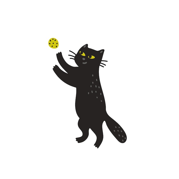 Gato negro jugando con una pelota