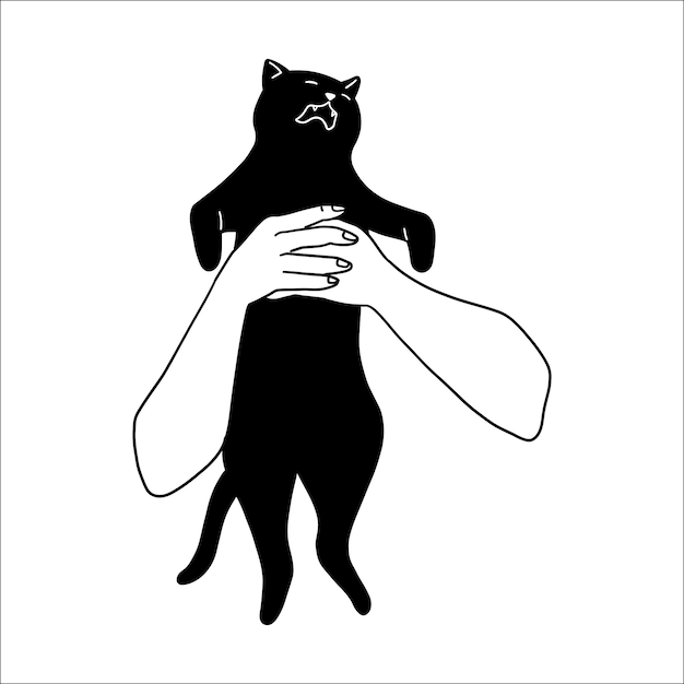 Gato negro en las manos