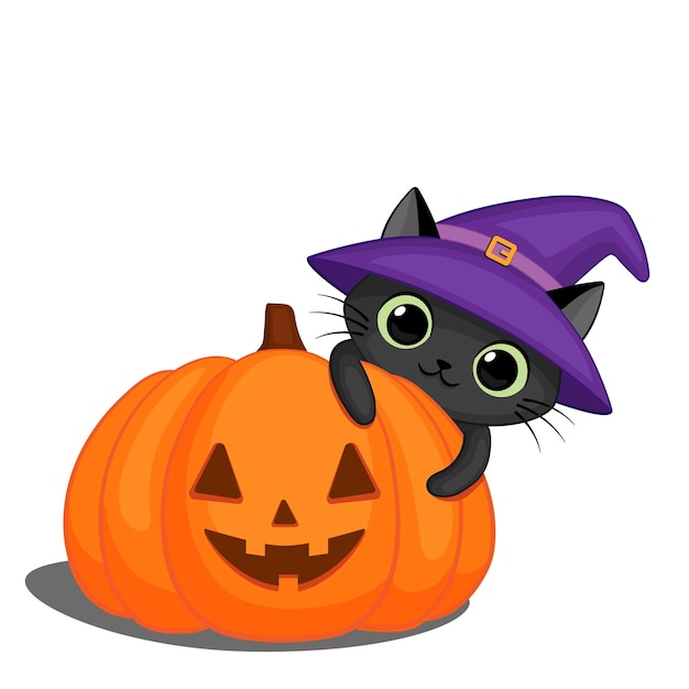 Vector gato negro con sombrero de bruja y calabaza de halloween