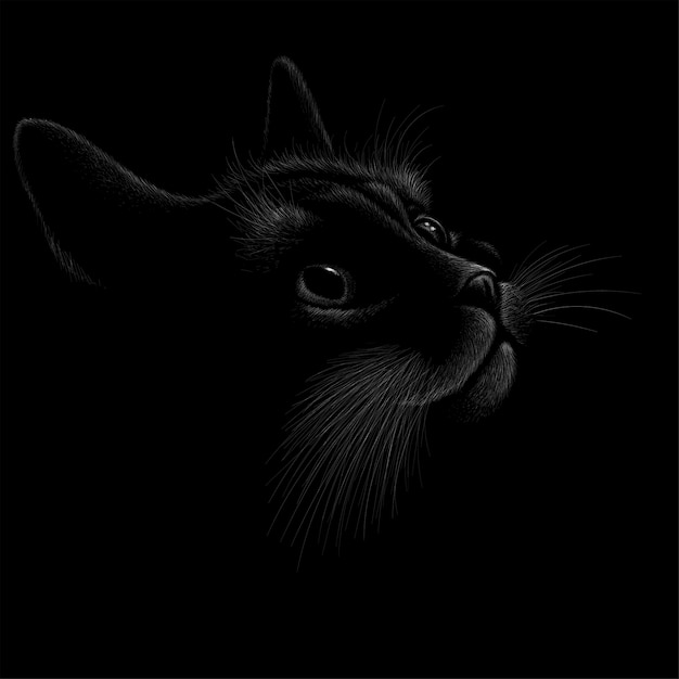 Vector gato negro