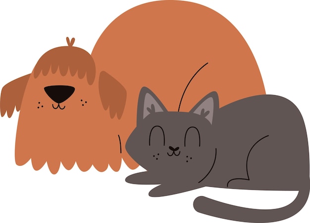 Gato y perro durmiendo