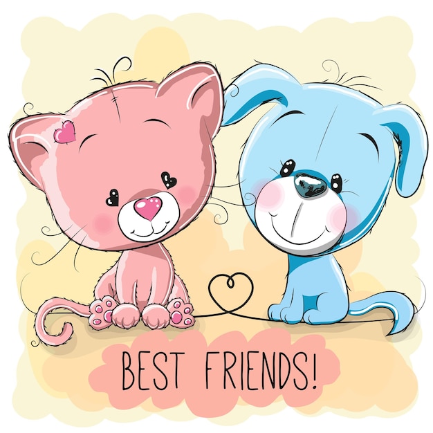 Gato y perro