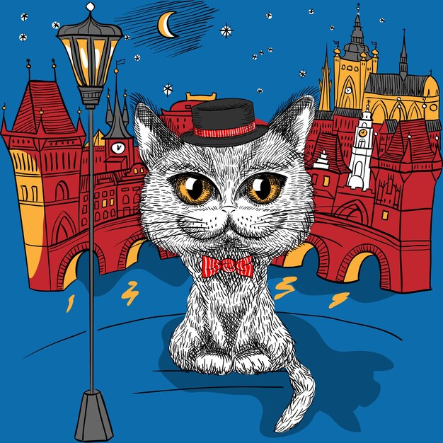 Gato en Praga, Castillo de Praga y Puente de Carlos