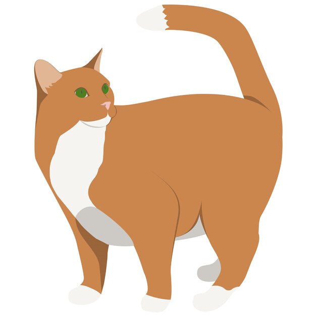 Gato rojo en ilustración vectorial