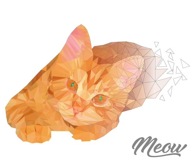 Gato rojo poligonal vectorial aislado en blanco. ilustración de bajo poli colorido