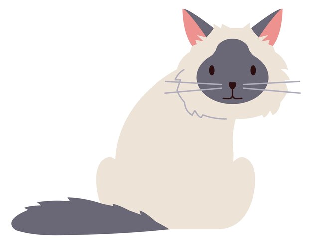 Vector gato sentado gatito de piel esponjosa linda mascota